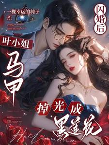 闪婚后，叶小姐马甲掉光成黑莲花